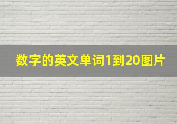 数字的英文单词1到20图片