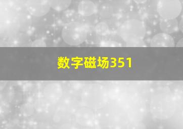 数字磁场351