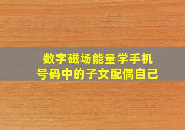 数字磁场能量学手机号码中的子女配偶自己