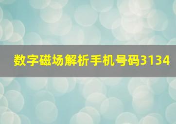 数字磁场解析手机号码3134