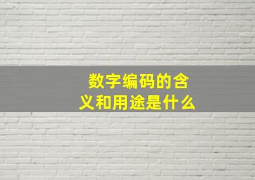 数字编码的含义和用途是什么