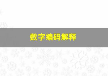 数字编码解释