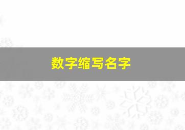 数字缩写名字