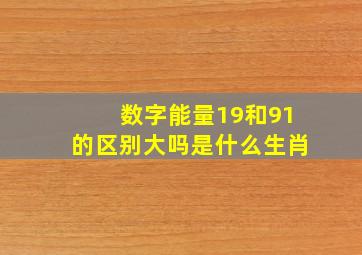 数字能量19和91的区别大吗是什么生肖