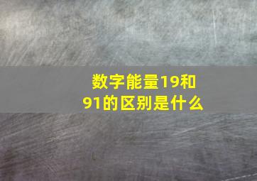 数字能量19和91的区别是什么