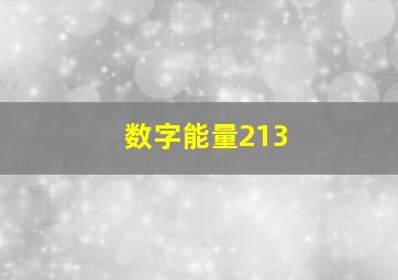 数字能量213