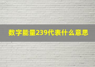 数字能量239代表什么意思