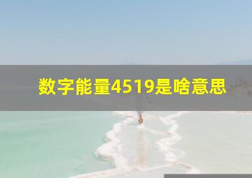 数字能量4519是啥意思