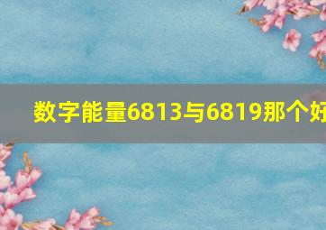 数字能量6813与6819那个好