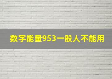 数字能量953一般人不能用