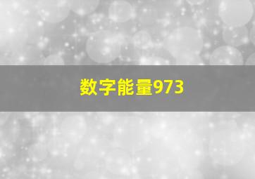 数字能量973