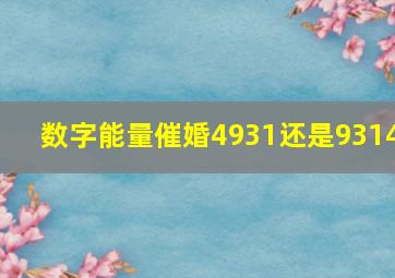 数字能量催婚4931还是9314