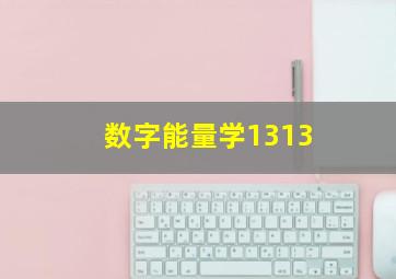 数字能量学1313