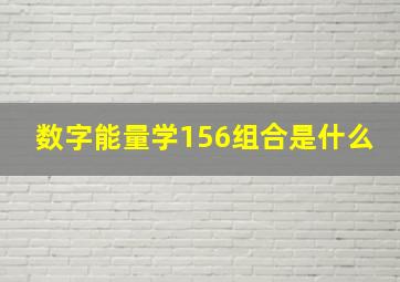 数字能量学156组合是什么