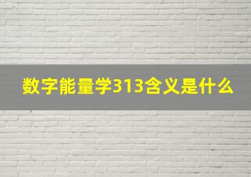 数字能量学313含义是什么