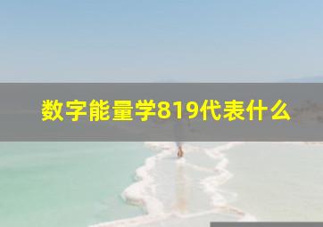 数字能量学819代表什么