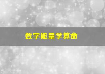 数字能量学算命