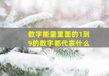 数字能量里面的1到9的数字都代表什么