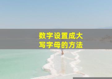 数字设置成大写字母的方法