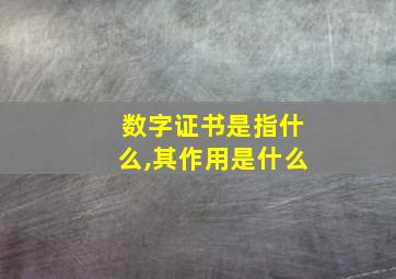 数字证书是指什么,其作用是什么