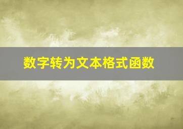 数字转为文本格式函数