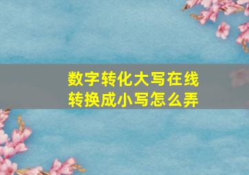 数字转化大写在线转换成小写怎么弄