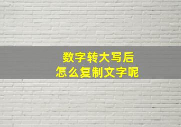 数字转大写后怎么复制文字呢