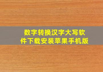 数字转换汉字大写软件下载安装苹果手机版