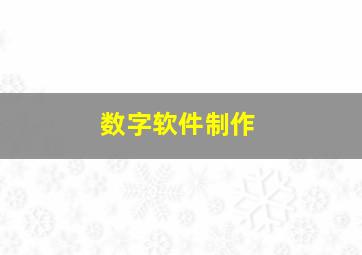 数字软件制作