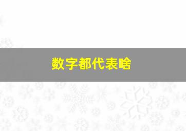 数字都代表啥