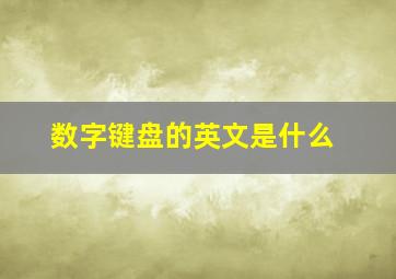 数字键盘的英文是什么