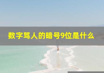 数字骂人的暗号9位是什么