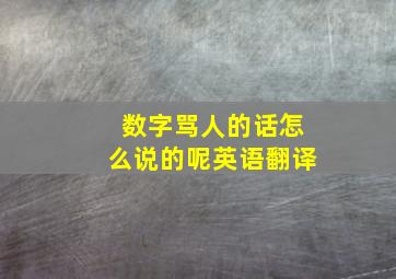 数字骂人的话怎么说的呢英语翻译