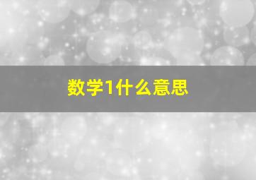 数学1什么意思