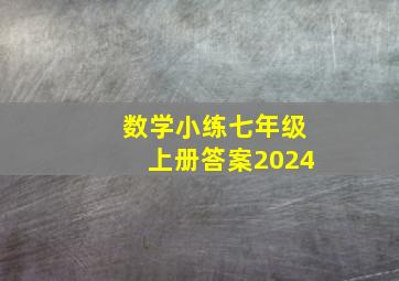 数学小练七年级上册答案2024