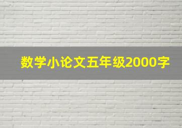 数学小论文五年级2000字