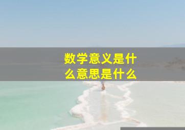 数学意义是什么意思是什么