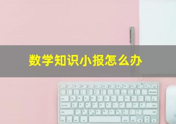 数学知识小报怎么办