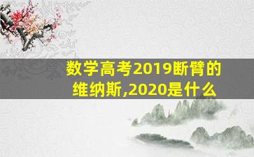 数学高考2019断臂的维纳斯,2020是什么