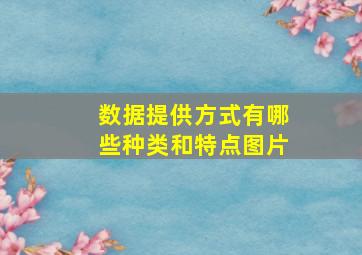 数据提供方式有哪些种类和特点图片