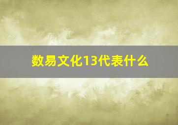 数易文化13代表什么