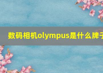 数码相机olympus是什么牌子