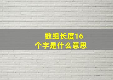 数组长度16个字是什么意思