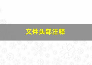 文件头部注释