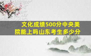 文化成绩500分中央美院能上吗山东考生多少分