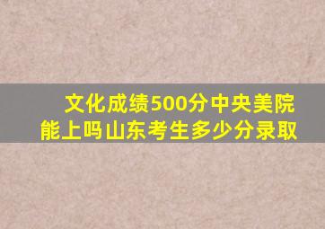 文化成绩500分中央美院能上吗山东考生多少分录取