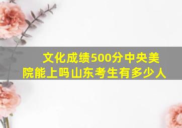 文化成绩500分中央美院能上吗山东考生有多少人