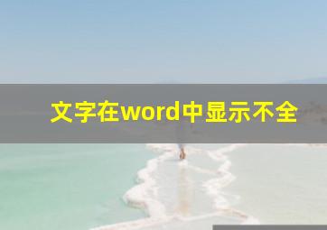 文字在word中显示不全