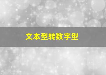 文本型转数字型