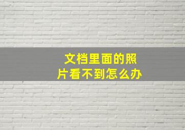 文档里面的照片看不到怎么办